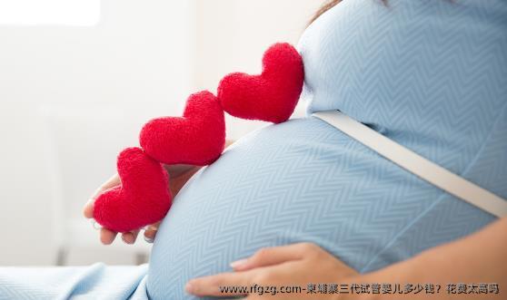 柬埔寨三代代孕多少钱？花费太高吗