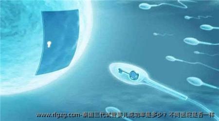 泰国三代代孕成功率是多少？不同医院是否一样
