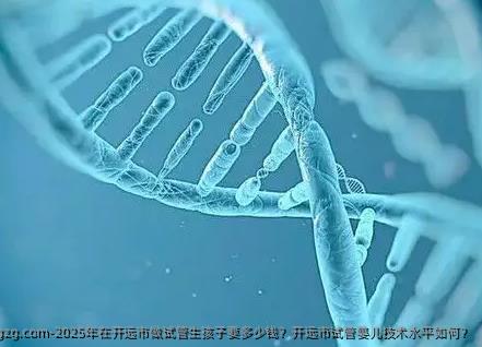 2025年在开远市做试管生孩子要多少钱？开远市代孕技术水平如何？