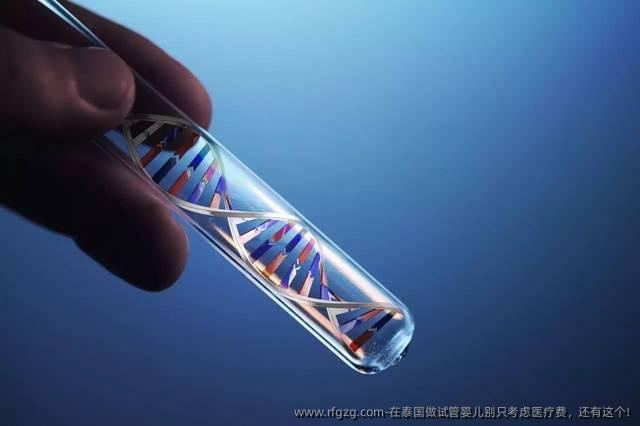 在泰国做代孕别只考虑医疗费，还有这个!