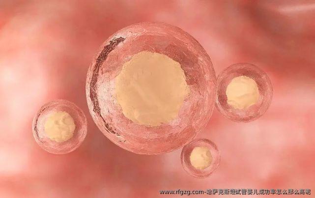 哈萨克斯坦代孕成功率怎么那么高呢