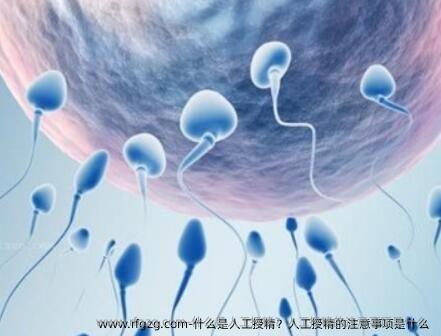 什么是人工授精？人工授精的注意事项是什么 