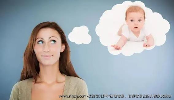 代孕怀孕初期食谱，七道食谱让胎儿健康又聪明