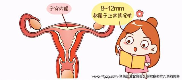 马来西亚代孕医院排名前六的有哪些