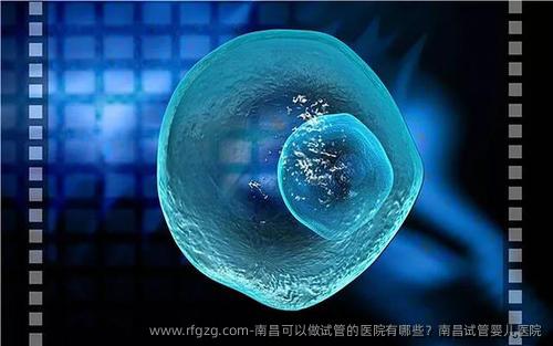 南昌可以做试管的医院有哪些？南昌代孕医院