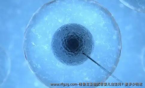 格鲁吉亚做代孕合法吗？要多少钱呢