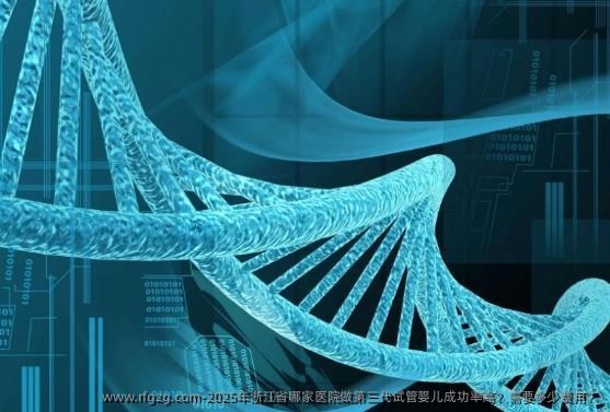2025年浙江省哪家医院做第三代代孕成功率高？需要多少费用？