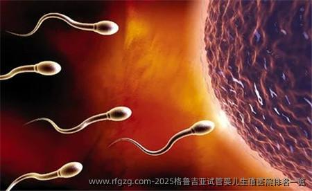 2025格鲁吉亚代孕生殖医院排名一览