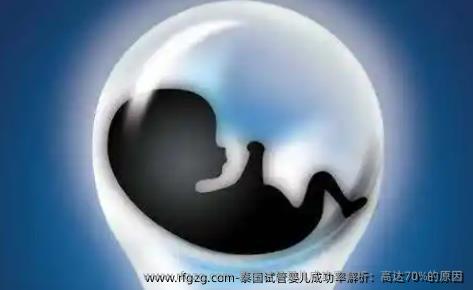 泰国代孕成功率解析：高达70%的原因