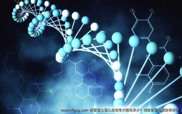代孕婴儿成功率大概有多少？附代孕成功率详情