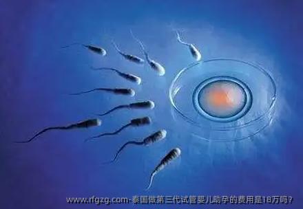 泰国做第三代试管婴儿助孕的费用是18万吗？