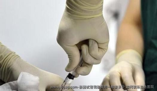 泰国试管需要费用一般要多少 如何联系当地医院