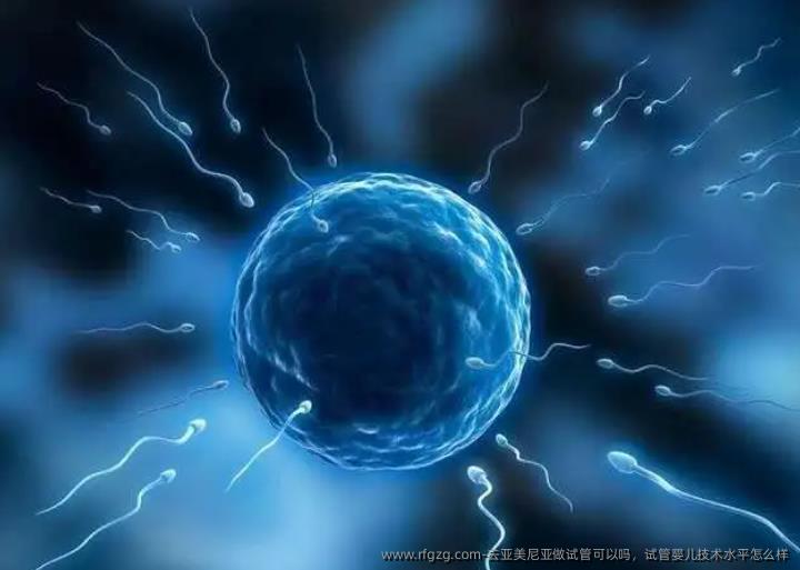 去亚美尼亚做试管可以吗，代孕技术水平怎么样