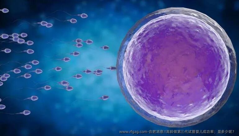 合肥消息!!高龄做第三代代孕成功率；是多少呢？