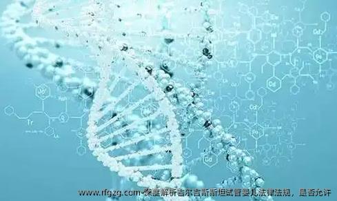 深度解析吉尔吉斯斯坦代孕法律法规，是否允许