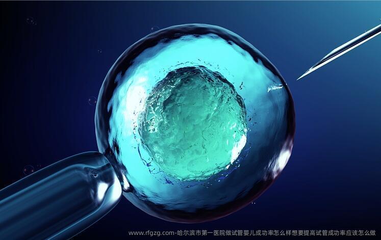 哈尔滨市第一医院做代孕成功率怎么样想要提高试管成功率应该怎么做