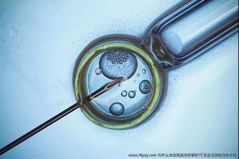 选择去美国雪藏卵的原因以及丁克群体通过雪藏卵实现生育的可能性