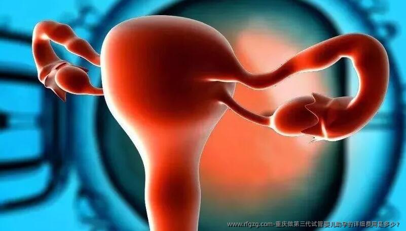 重庆做第三代代孕助孕的详细费用是多少？