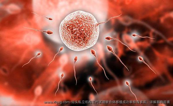 汕头私立机构三代试管嵌合体移植成功率有有多高，详解影响因素