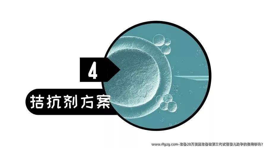 准备20万美国准备做第三代代孕助孕的费用够吗？
