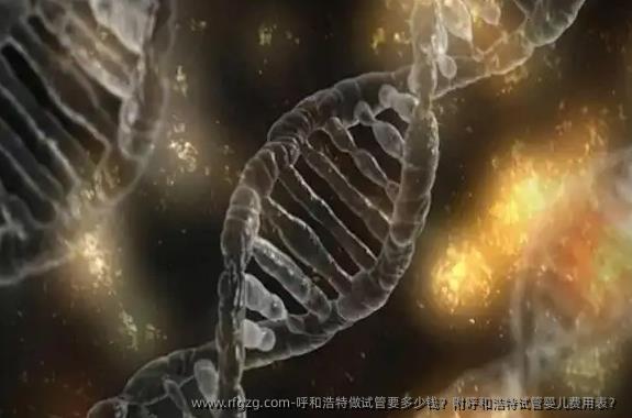 呼和浩特做试管要多少钱？附呼和浩特代孕费用表？