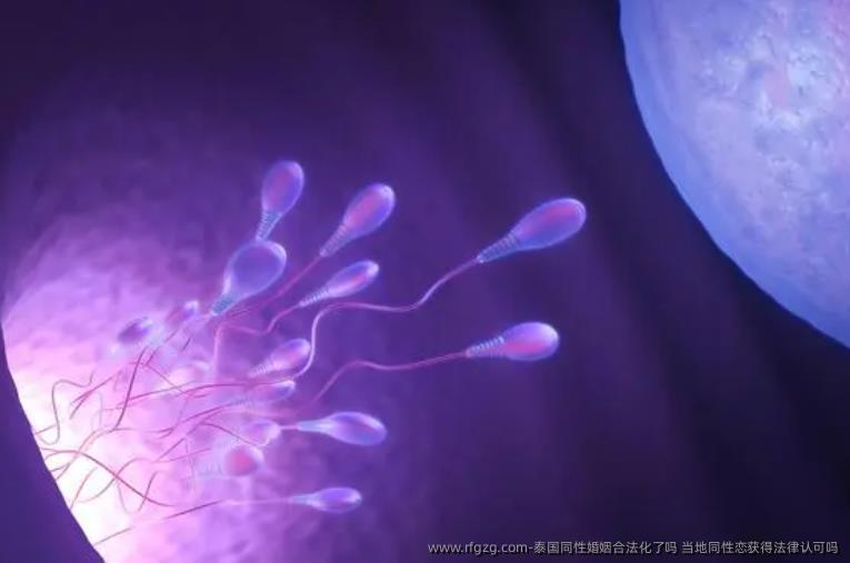 泰国彩虹婚姻合法化了吗 当地彩虹恋获得法律认可吗