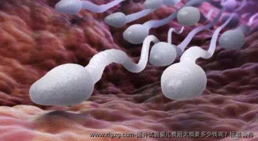 国外代孕费用大概要多少钱呢？标准公布