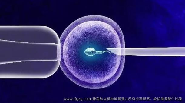 珠海私立机构代孕所有流程概览，轻松掌握整个过程