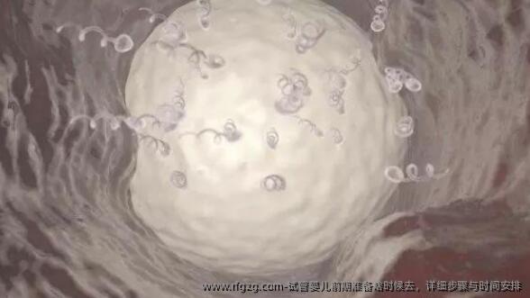 代孕前期准备啥时候去，详细步骤与时间安排