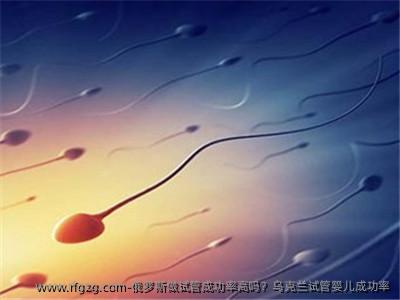 俄罗斯做试管成功率高吗？乌克兰代孕成功率