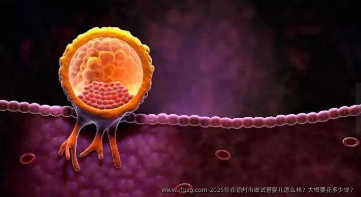 2025年在徐州市做代孕怎么样？大概要花多少钱？