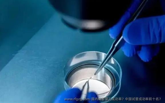 国内代孕成功率？国内试管成功率前十名？